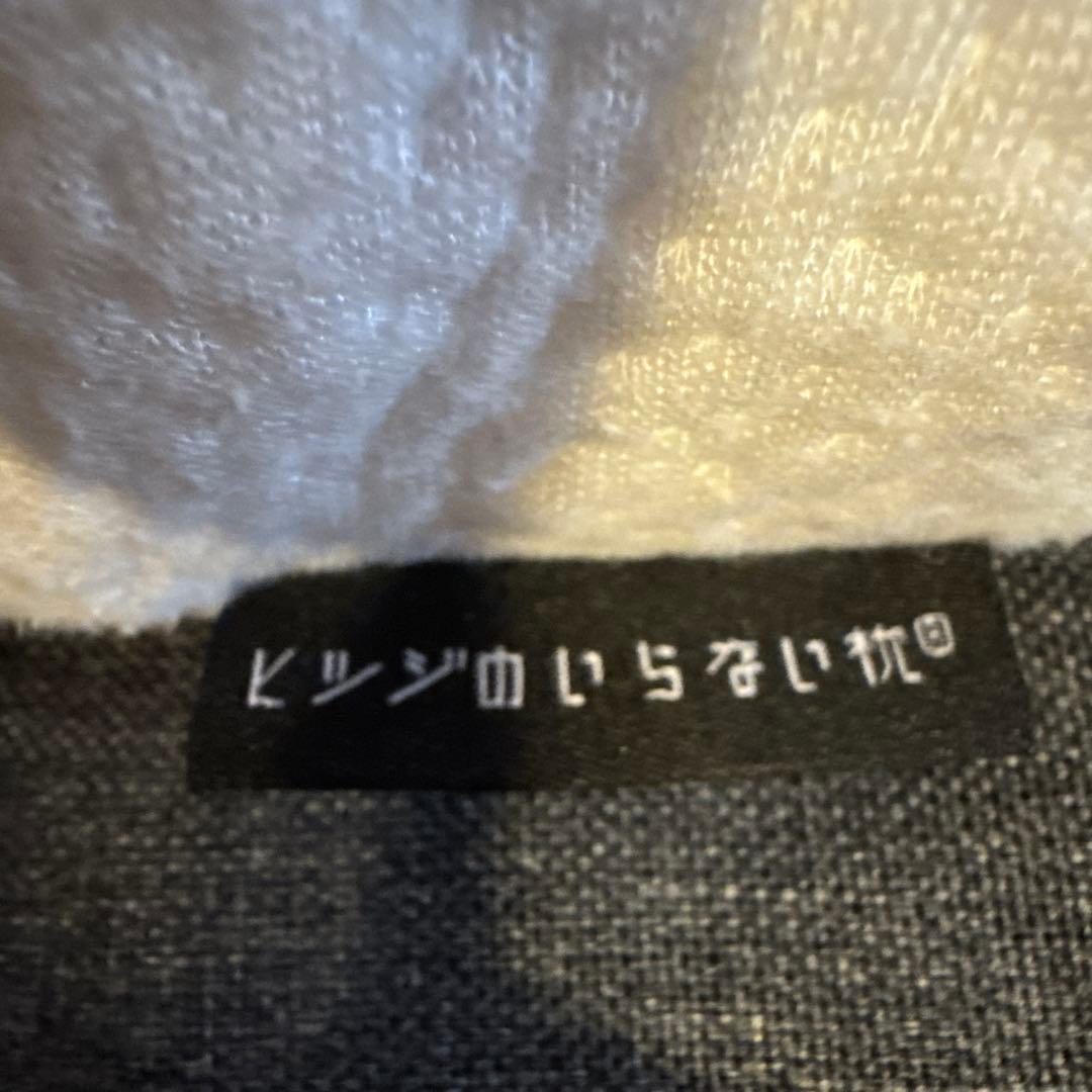 ヒツジのいらない枕　BIGサイズモデル (極柔) テンセル枕カバー付き