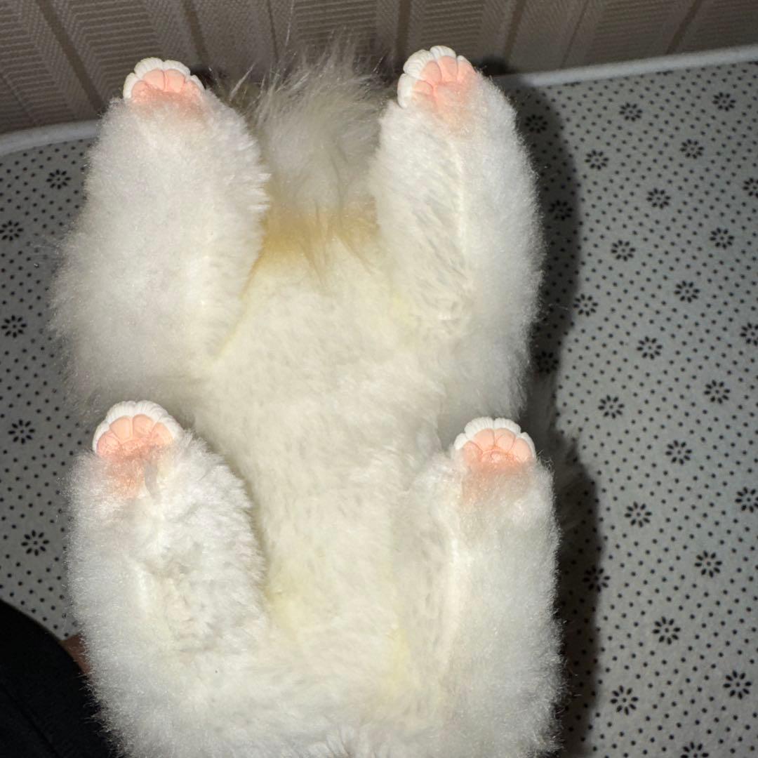 テリトルドール様　ガルム　(国内作家様) アートドール