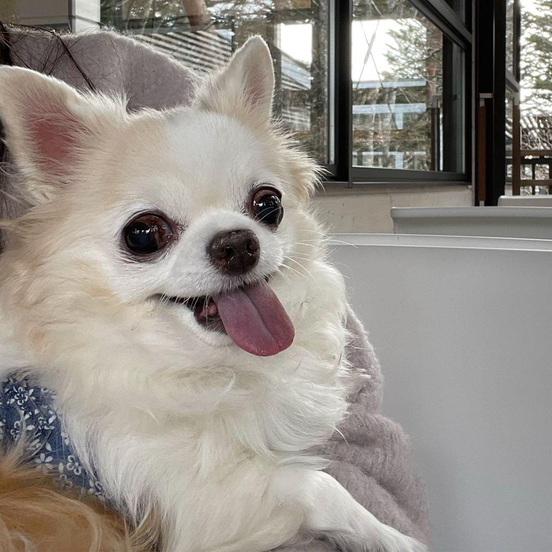 画像確認用　顔2