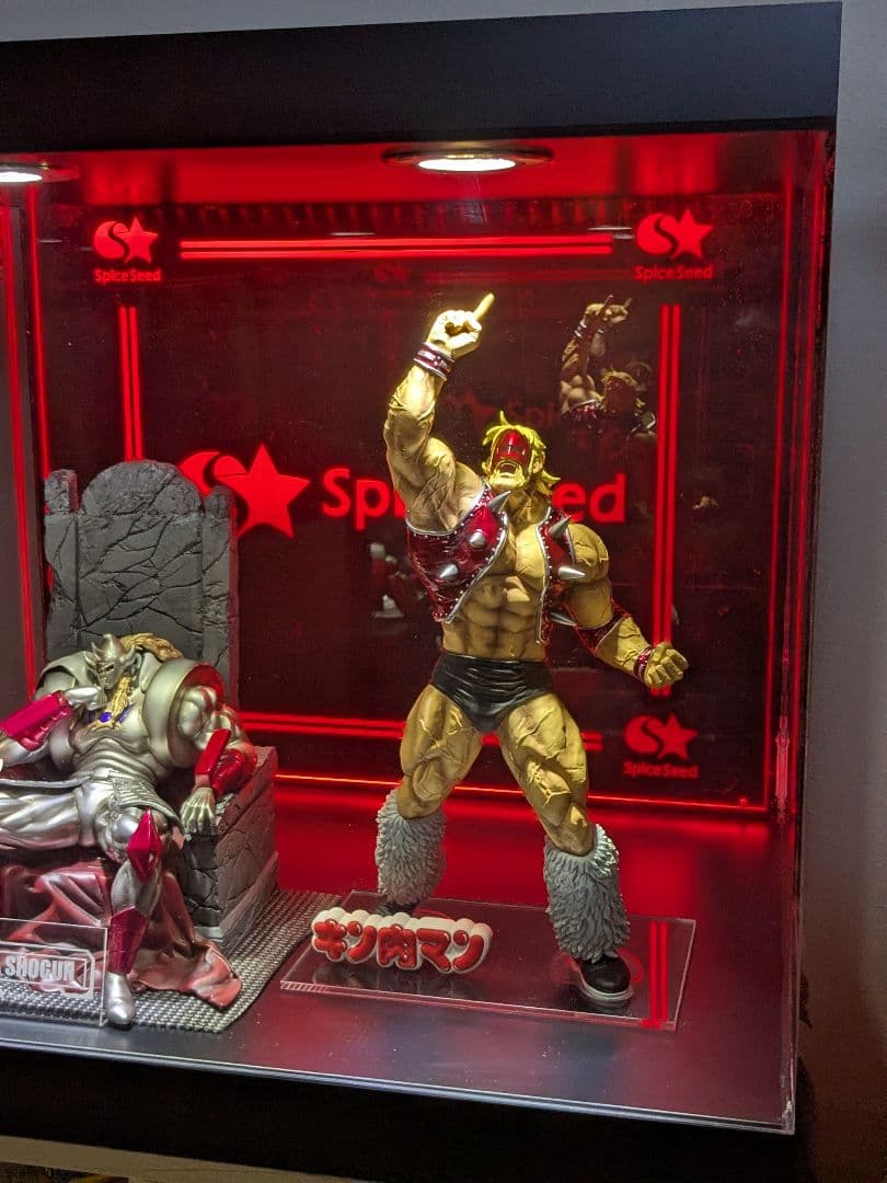 最終値下げ　引き取り限定★スパイスシード　フィギュアケース★ spiceseed