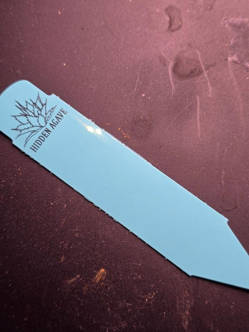 HIDDEN AGAVEジェレミー Creep　発根済タグ付き