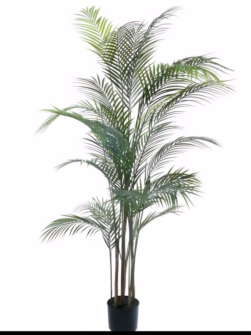 光触媒　人工観葉植物　ウォールグリーン　フェイクグリーン　アレカヤシヤシの木