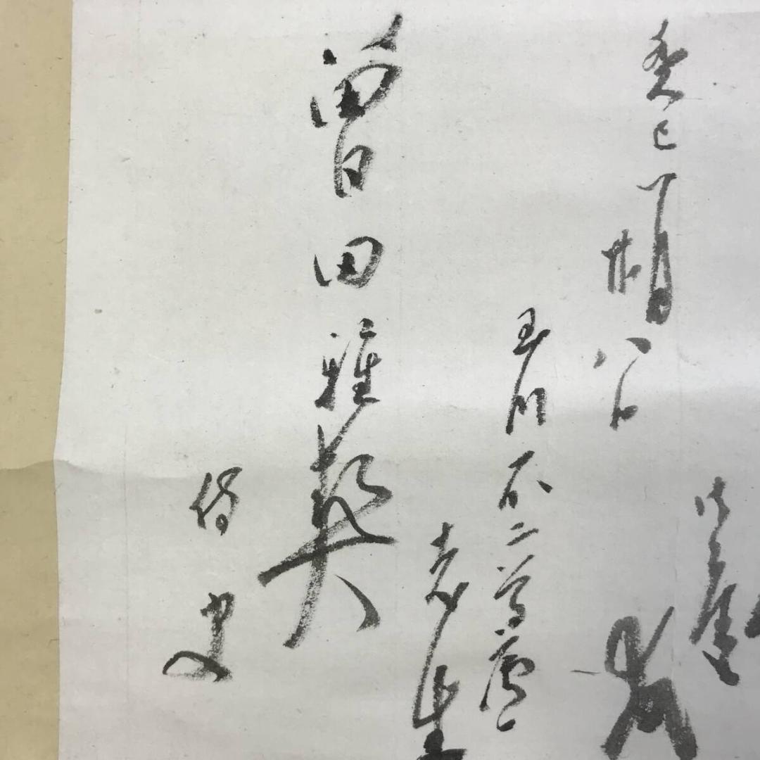 真作/木村棲雲/鯉画賛/遊鯉図/コイ図/横物/掛軸/名家伝来AH-554