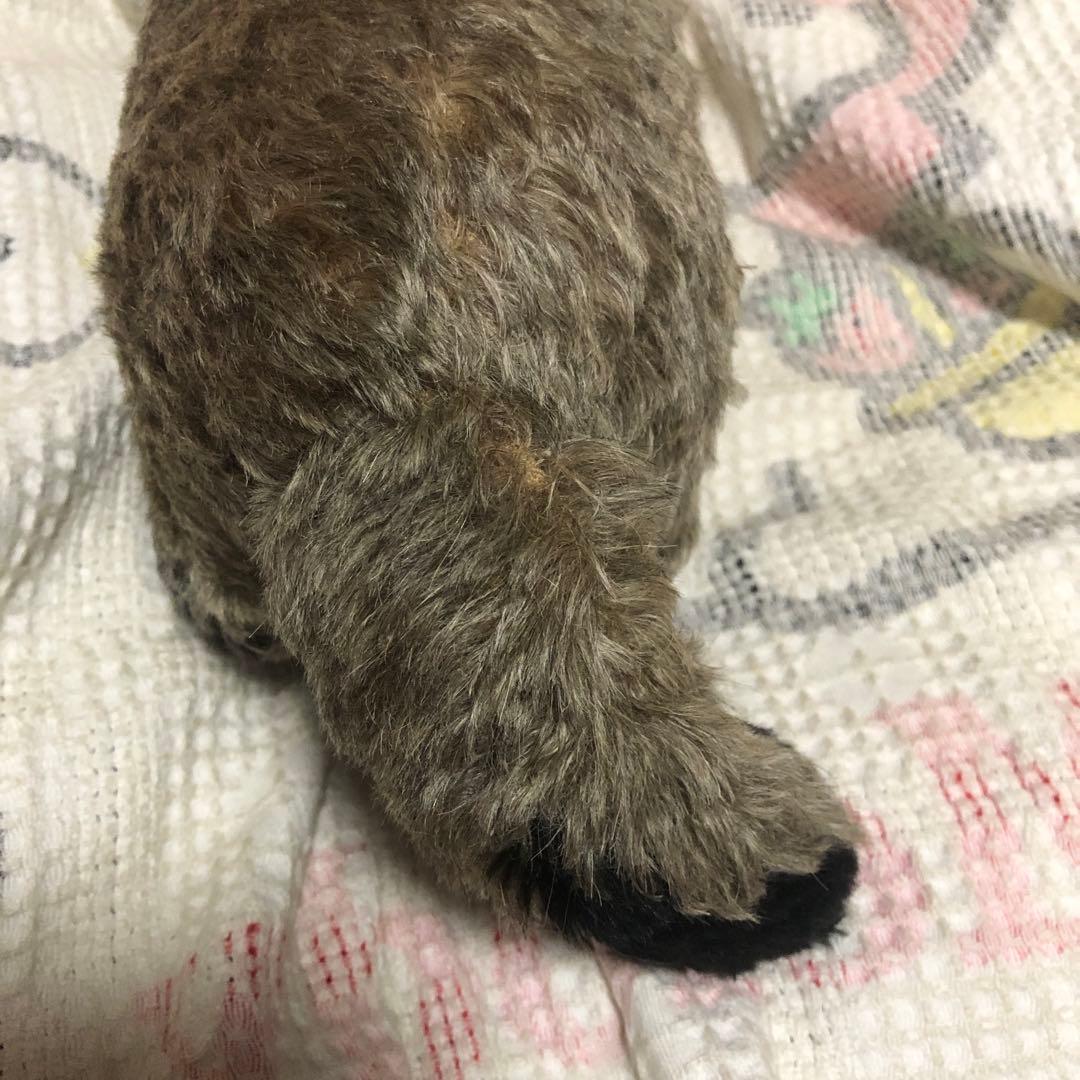 TOMO BEAR テディベア作家　TOMOKO FURUYA タヌキ　中古品