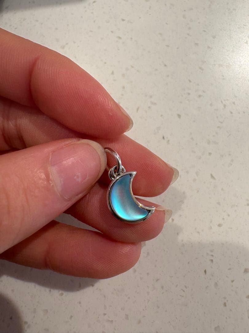 チャーム PANDORA CHARM