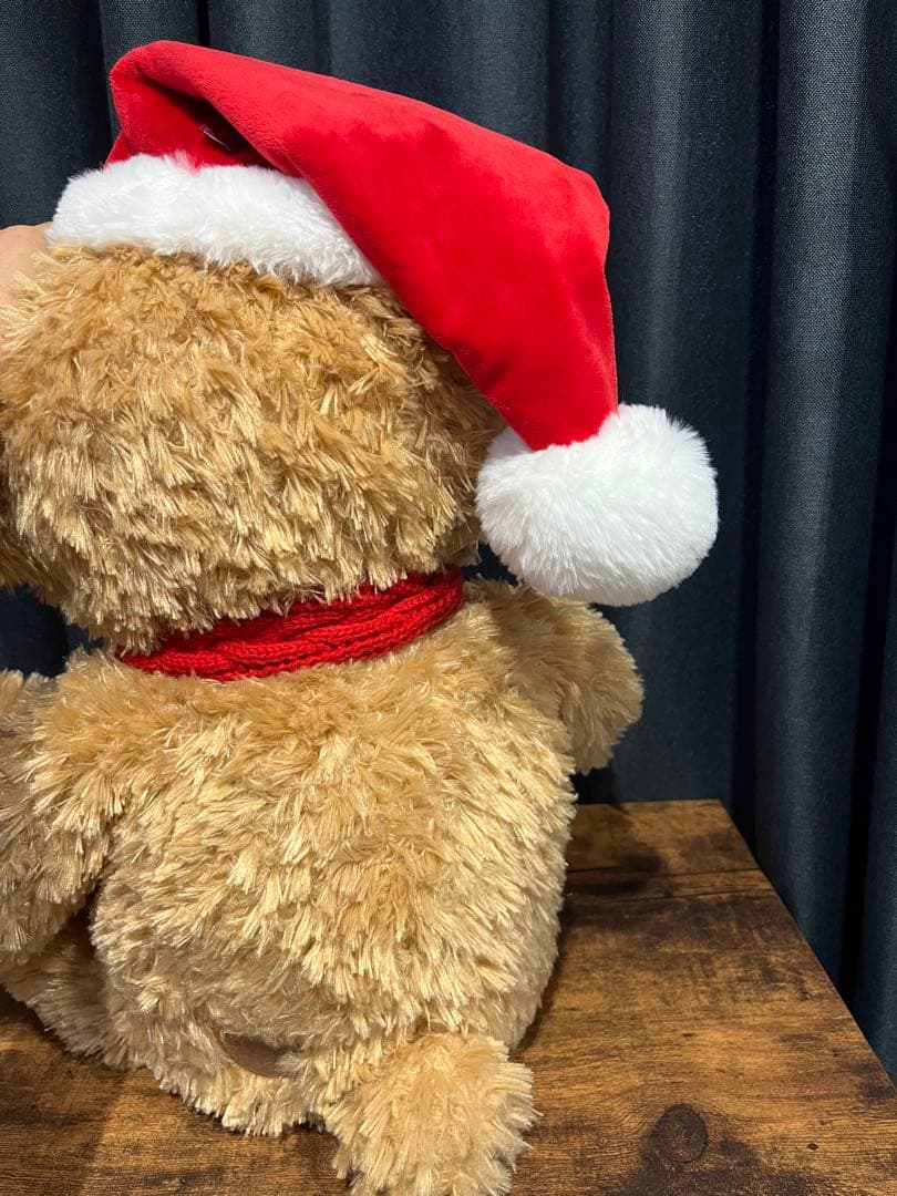 【お値下げ】ダッフィーぬいぐるみMサイズ【クリスマス】