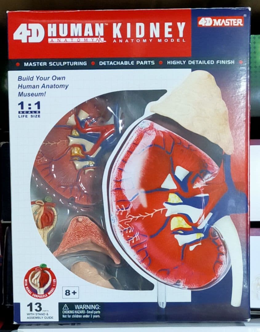 立体パズル4D VISION