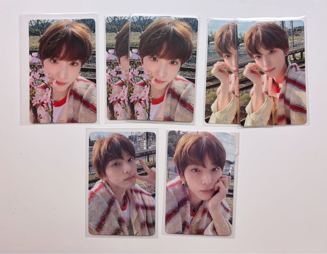 &TEAM HARUA トレカ　116枚