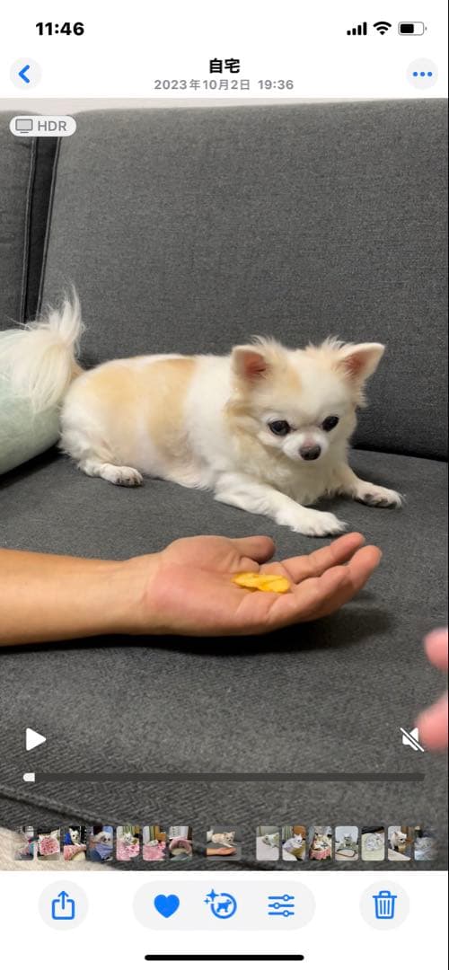 画像確認用　伏せポーズ