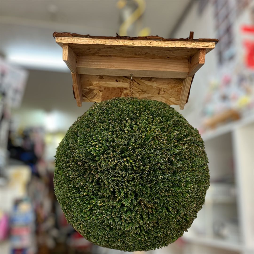 杉玉【屋根付き】⑤