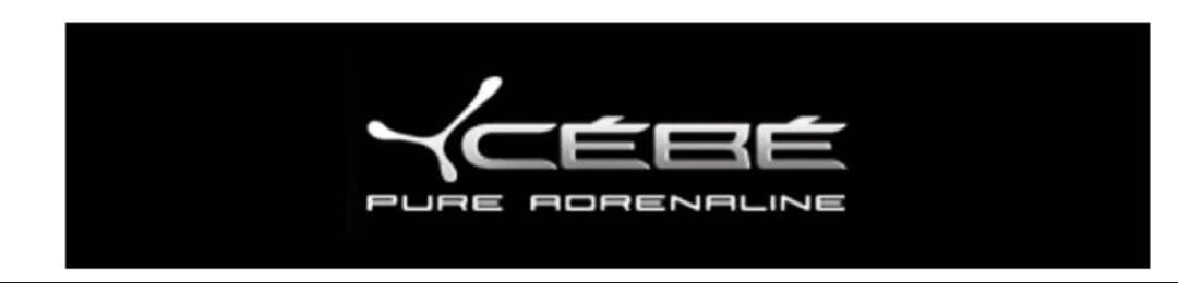 ☆美品☆ CEBE サングラスゴーグル フランス製 ミラーレンズ DEPOSE