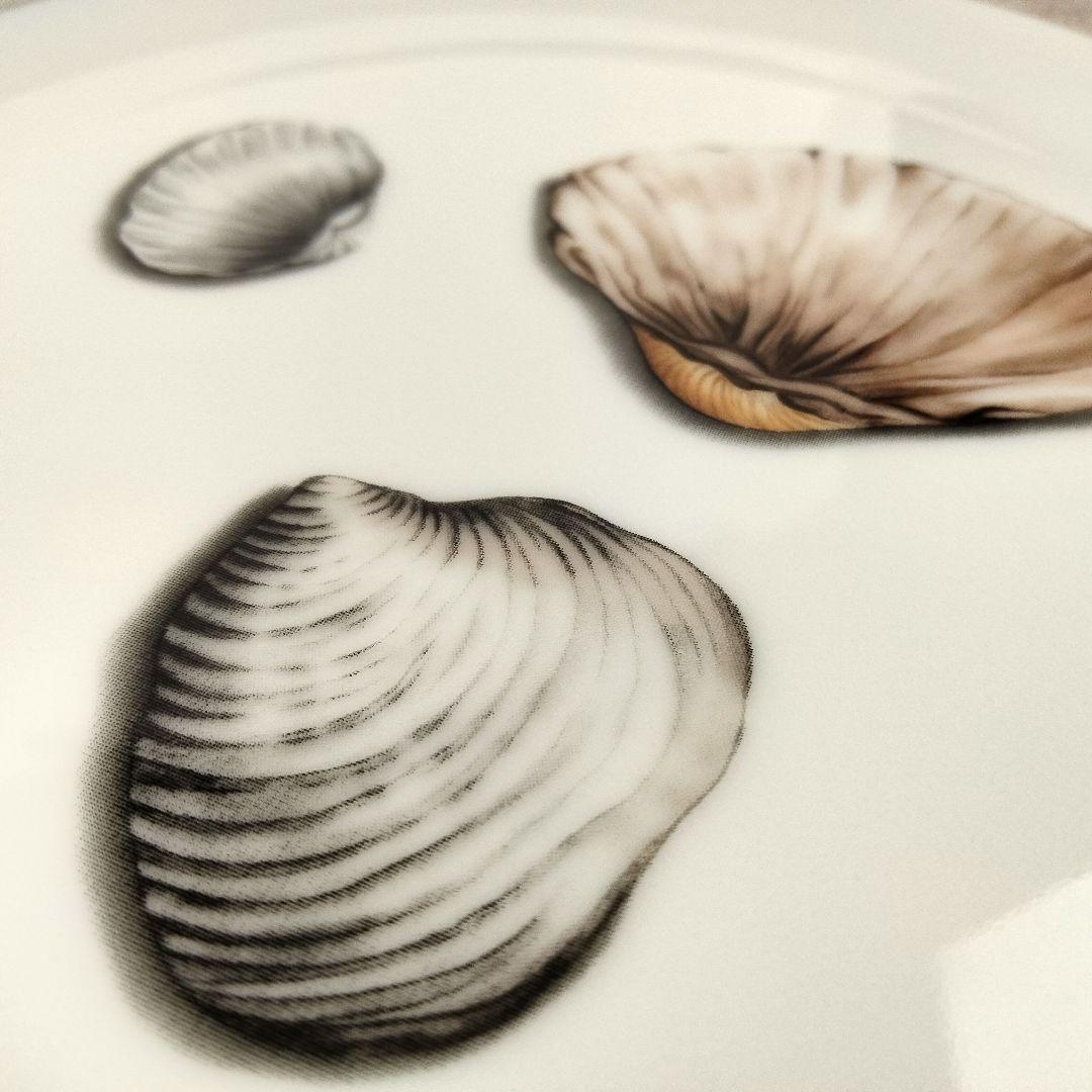 ピエール・フレイ リモージュ プレート 21.5㎝ 貝 6枚セット 未使用品