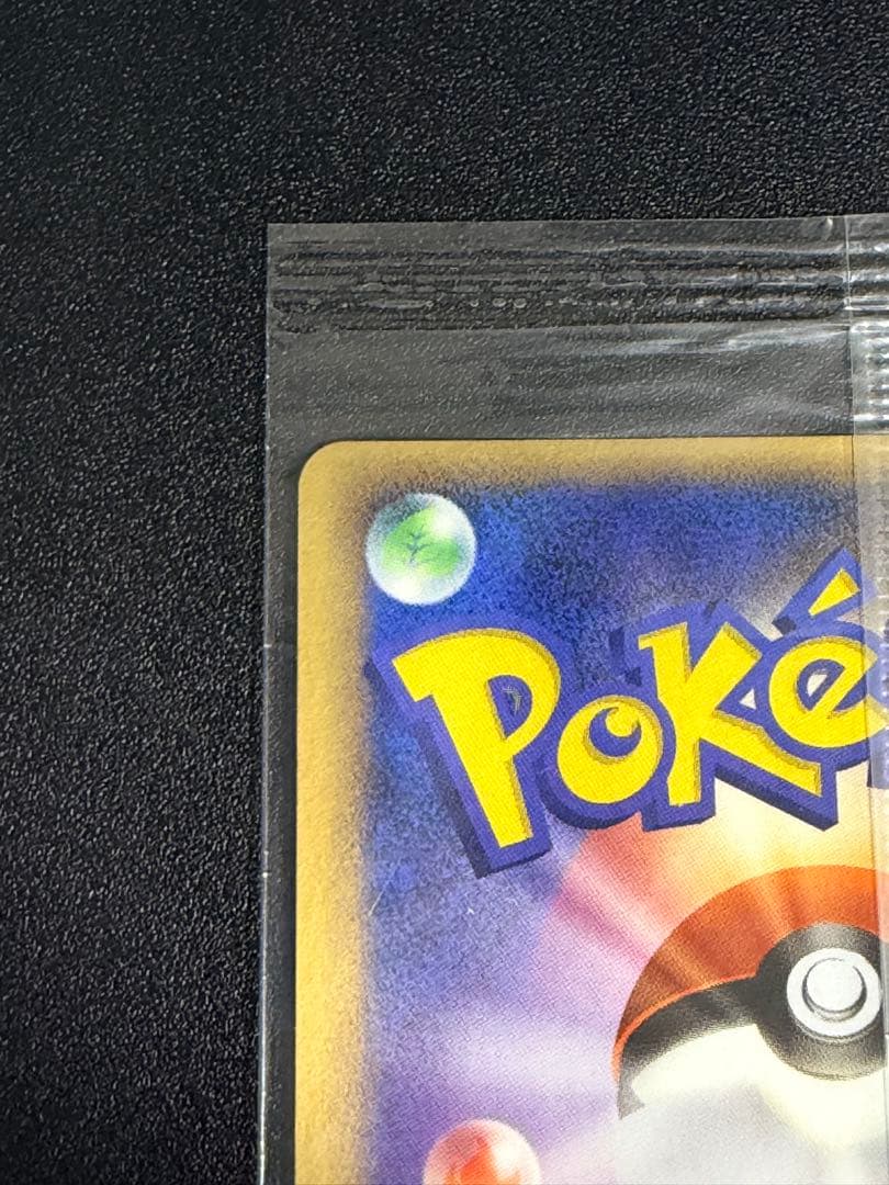 ポケモンカード ポケパークのゴンベ PROMO 040/PCG-P プロモ