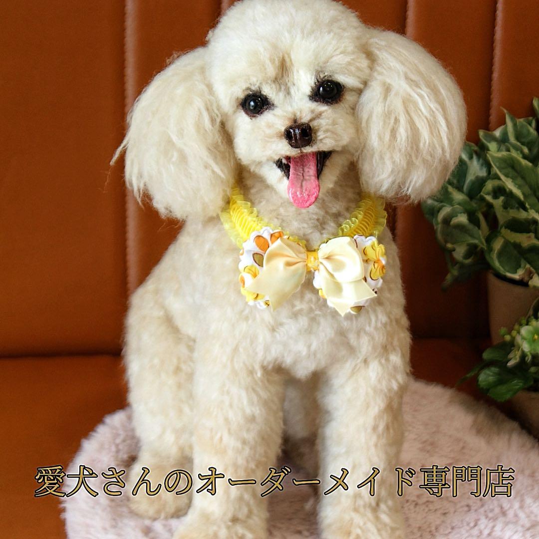 羊毛フェルト オーダー 犬 置物 ペット　愛犬さんのオーダー