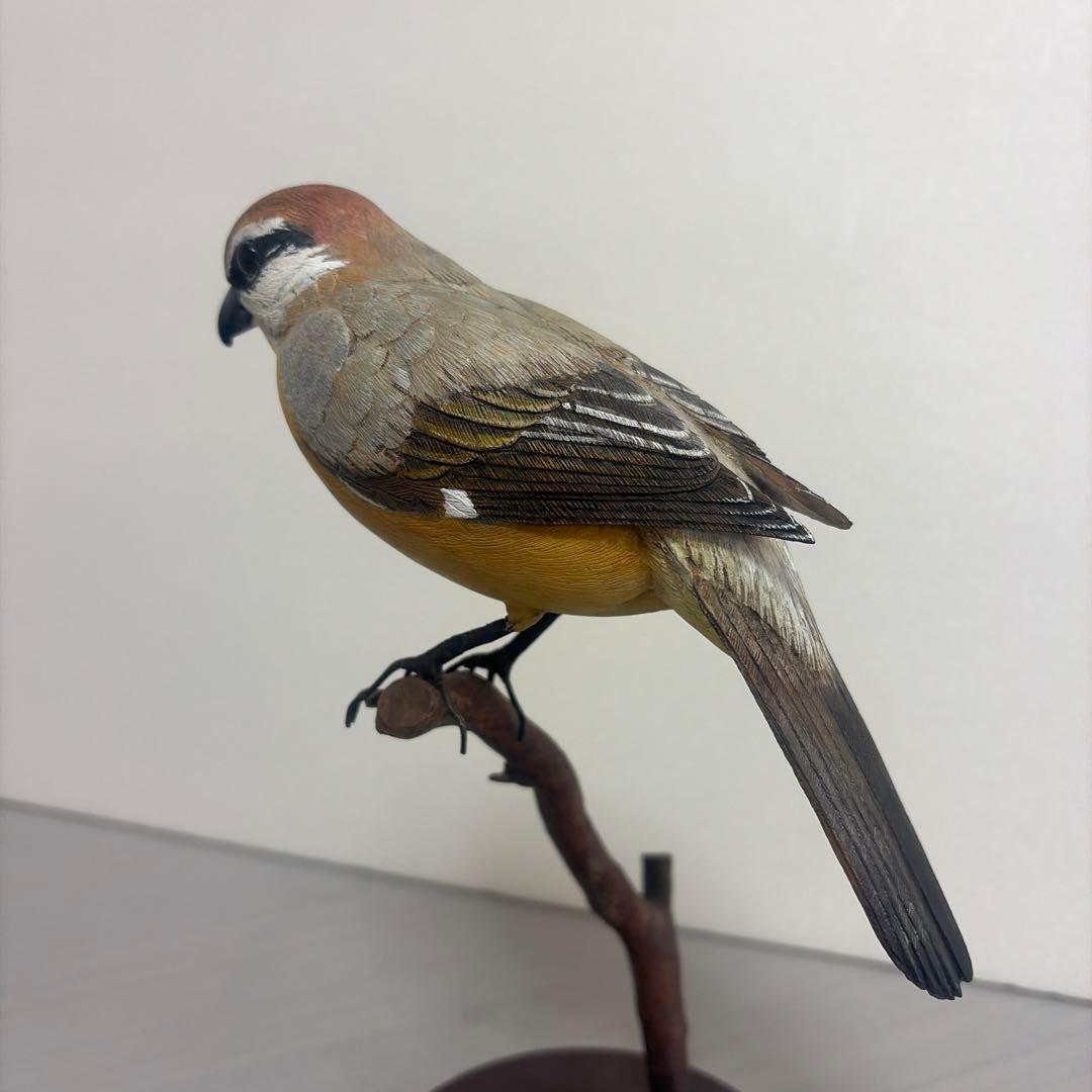 「モズ」　 木彫りの野鳥　リアルバードカービング　野鳥彫刻